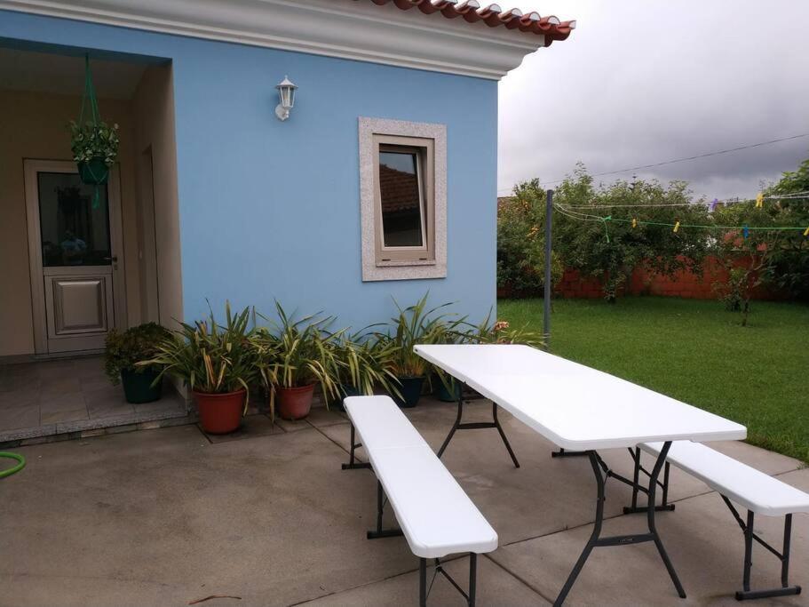 Maison Proche De La Mer Murtosa Esterno foto